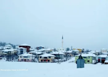 GÜNEYCE Mahallesi Genel Bilgileri